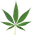 Medical Marijuana Icon
